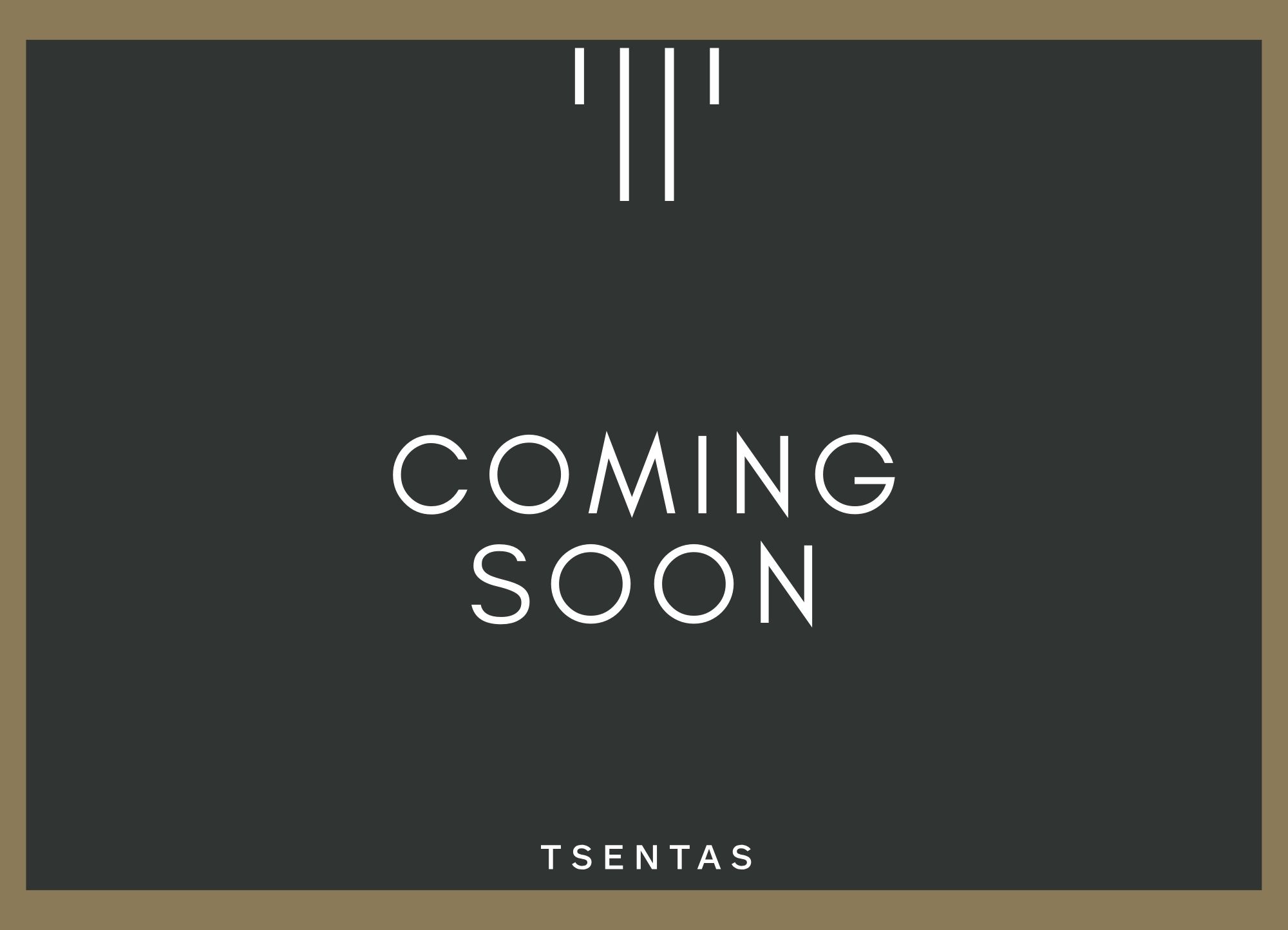 Floorplan Xanthi-301